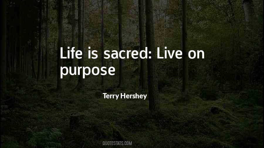 Terry Hershey Quotes #1711182