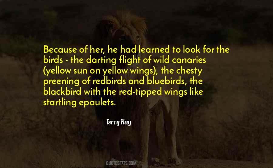 Terry Kay Quotes #1860732