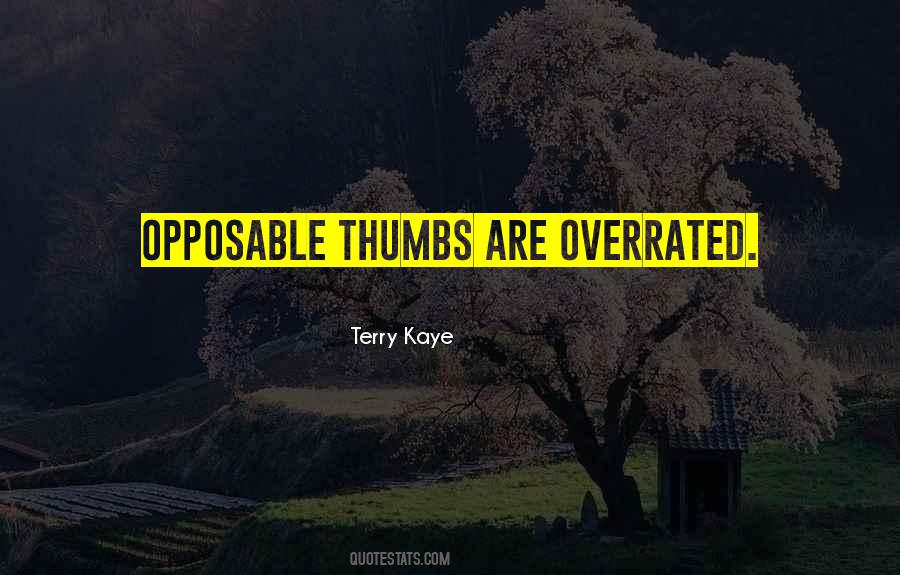 Terry Kaye Quotes #771213