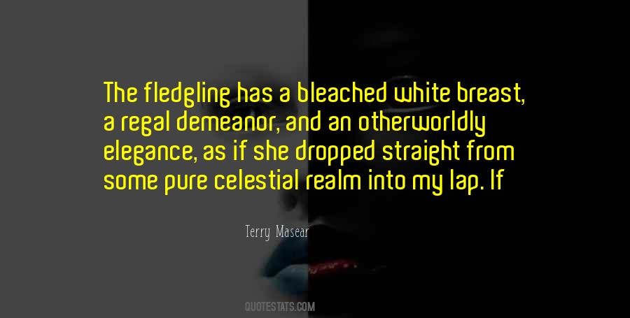 Terry Masear Quotes #192985 Terry Masear Quotes #192985
