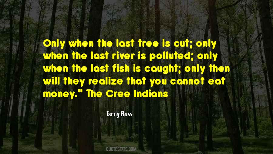 Terry Ross Quotes #1802234