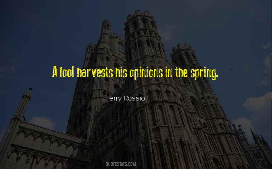 Terry Rossio Quotes #865353