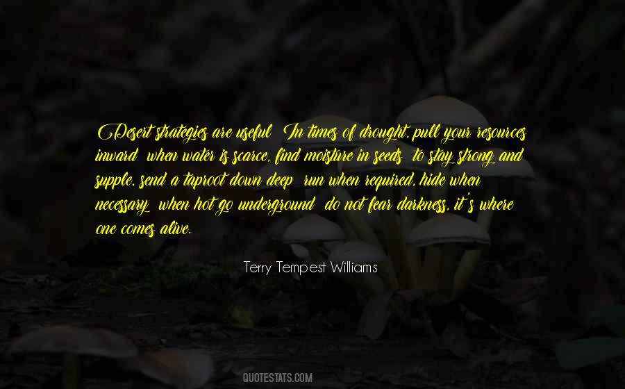 Terry Tempest Williams Quotes #233707