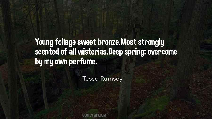 Tessa Rumsey Quotes #688000