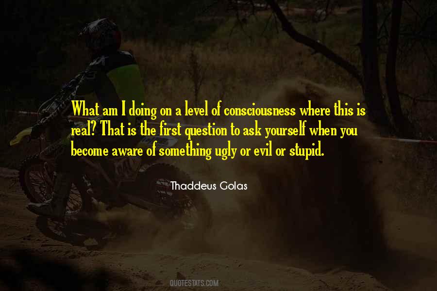 Thaddeus Golas Quotes #1103873