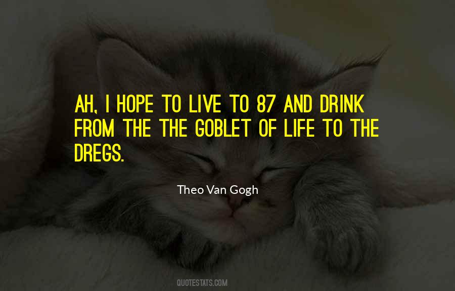 Theo Van Gogh Quotes #456382