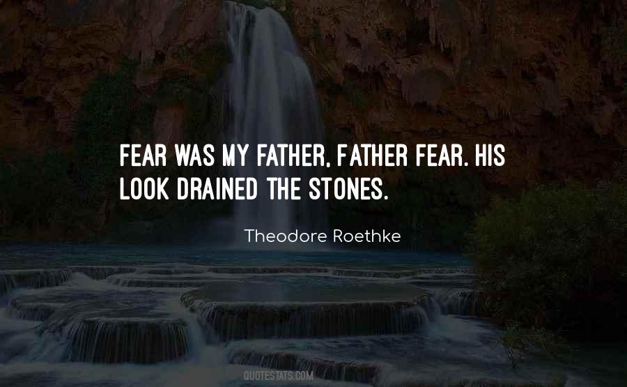 Theodore Roethke Quotes #1023065