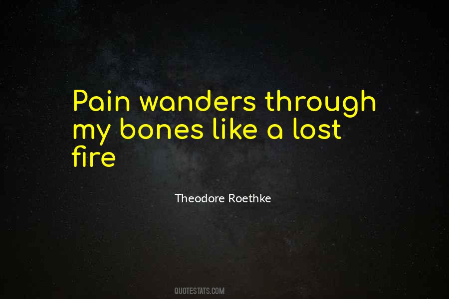 Theodore Roethke Quotes #1467552