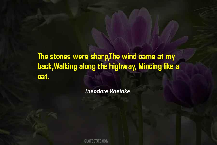 Theodore Roethke Quotes #1473396