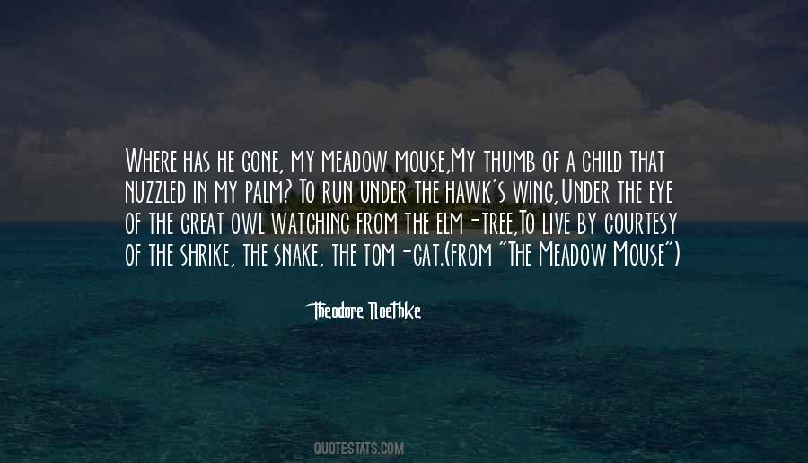 Theodore Roethke Quotes #1873123