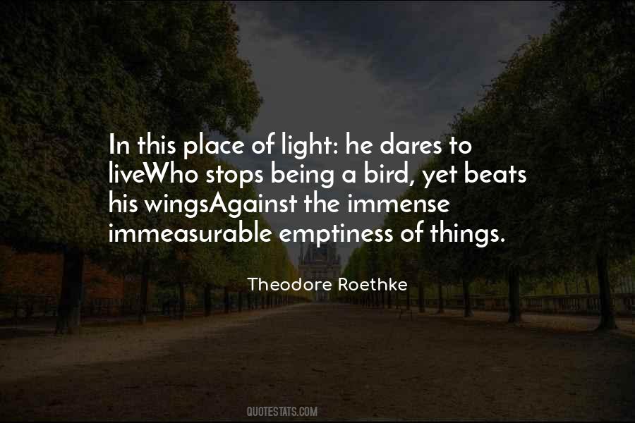 Theodore Roethke Quotes #422987