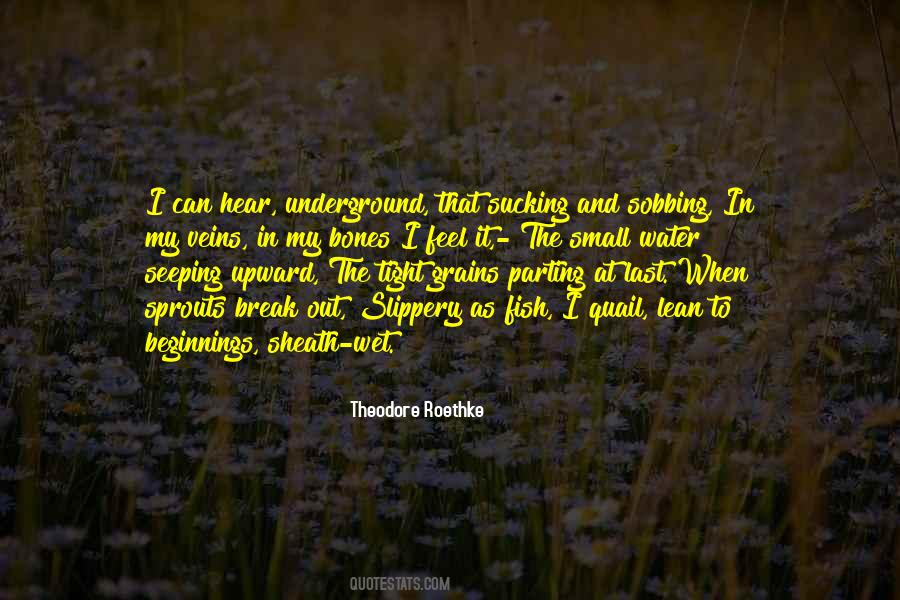 Theodore Roethke Quotes #53904