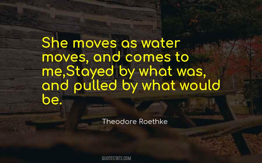 Theodore Roethke Quotes #636630