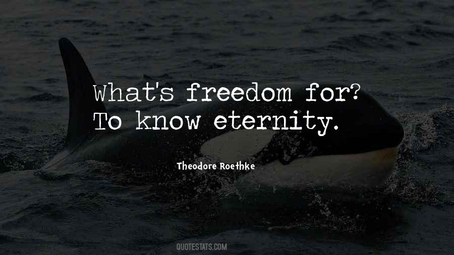 Theodore Roethke Quotes #724031