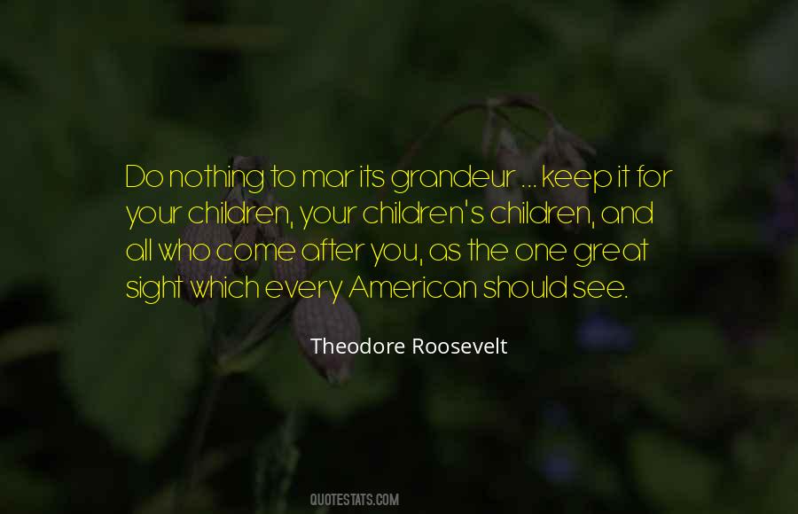 Theodore Roosevelt Quotes #1000117