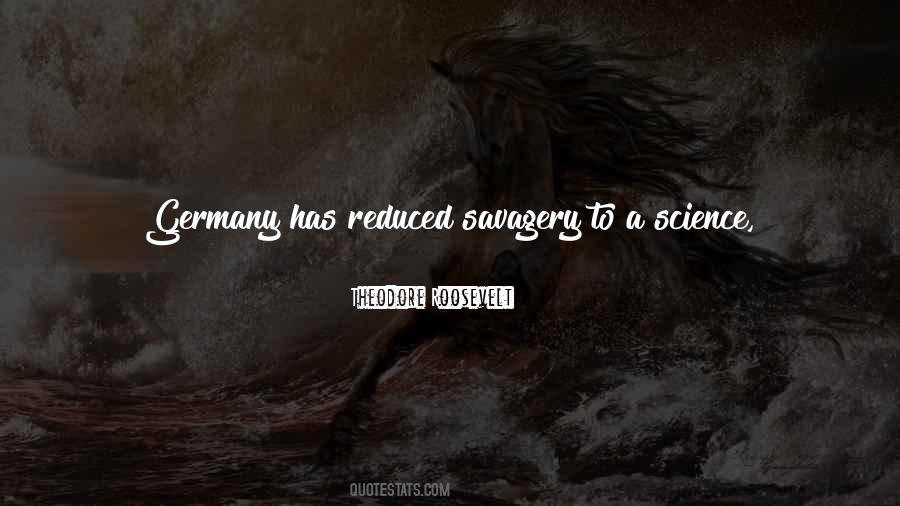 Theodore Roosevelt Quotes #1015764