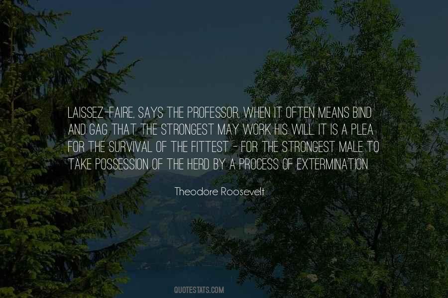 Theodore Roosevelt Quotes #1340724