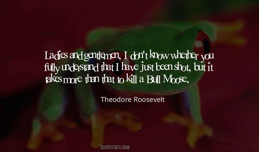 Theodore Roosevelt Quotes #1685134