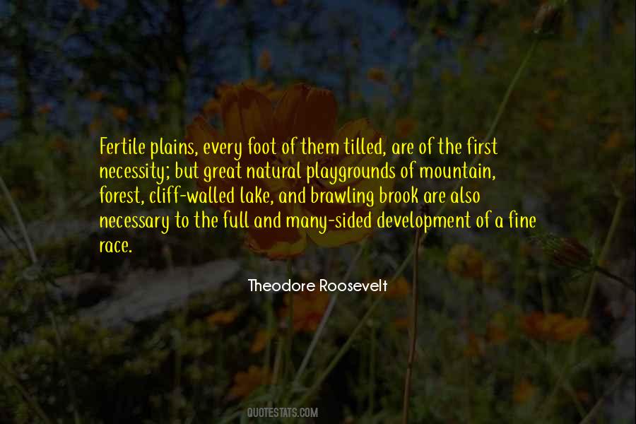 Theodore Roosevelt Quotes #1854003