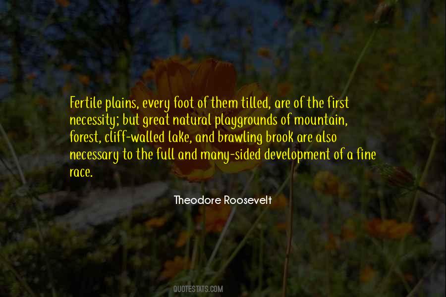 Theodore Roosevelt Quotes #1854003