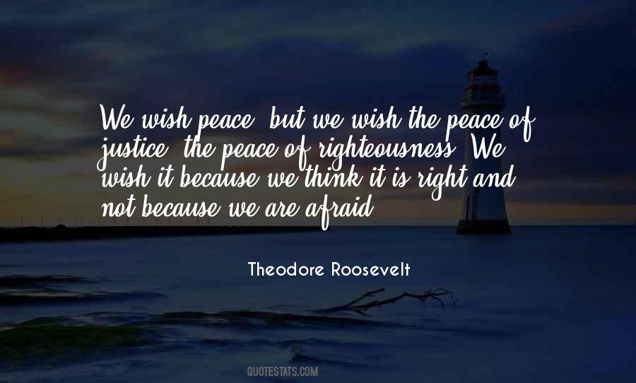 Theodore Roosevelt Quotes #219002