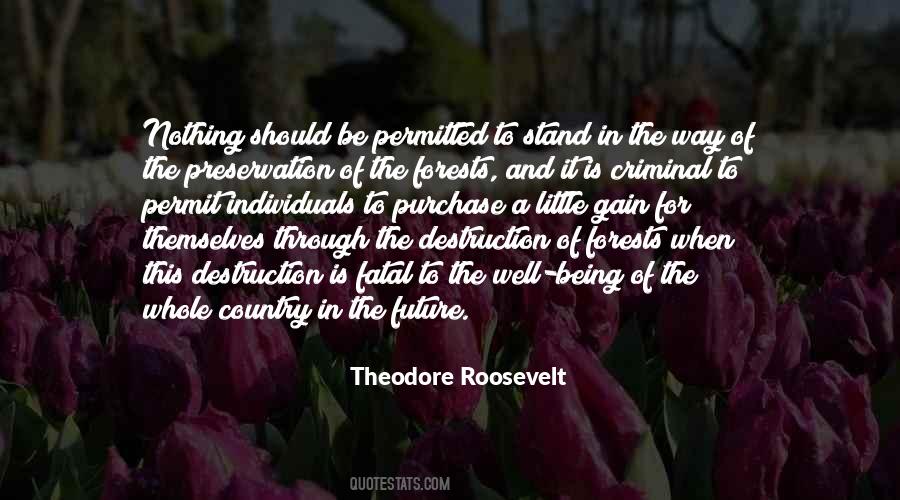 Theodore Roosevelt Quotes #23682