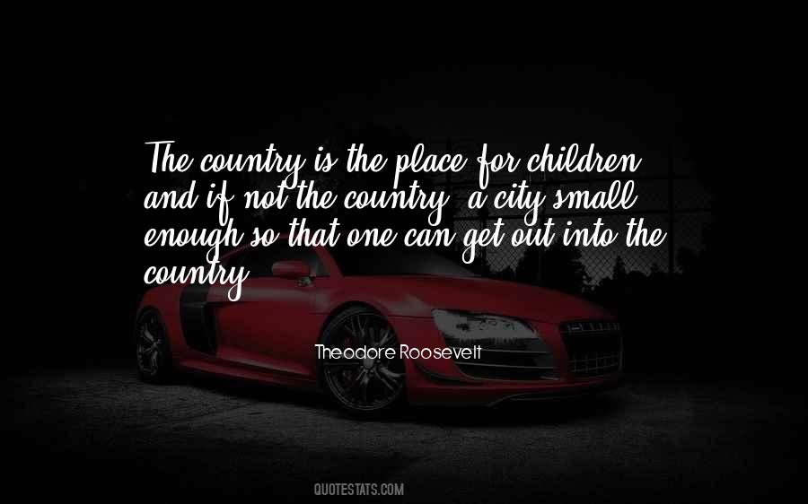 Theodore Roosevelt Quotes #395292