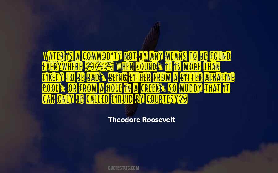 Theodore Roosevelt Quotes #695379