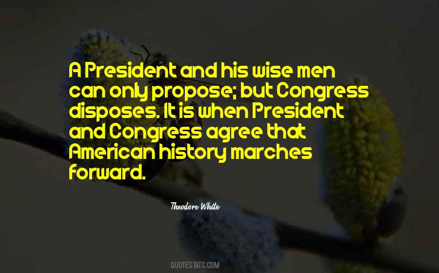 Theodore White Quotes #1187604