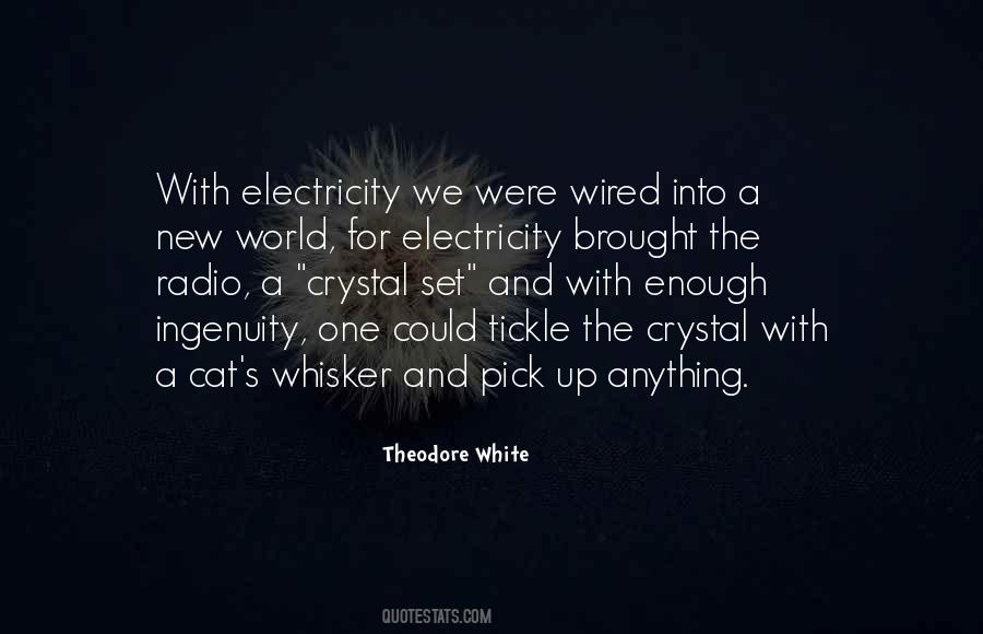 Theodore White Quotes #1408429