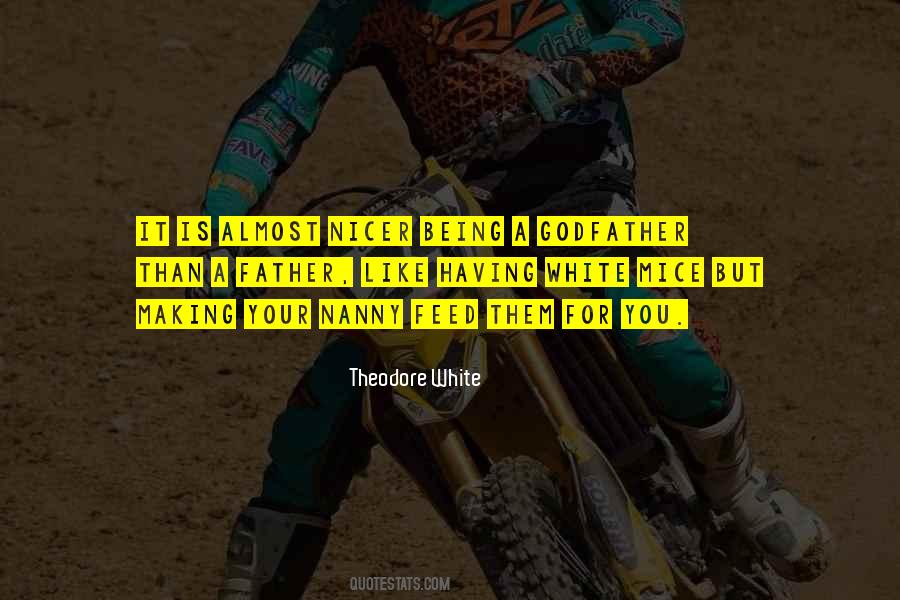 Theodore White Quotes #1528374