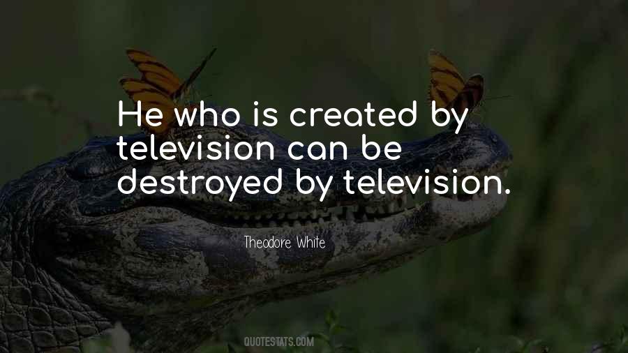 Theodore White Quotes #1585853