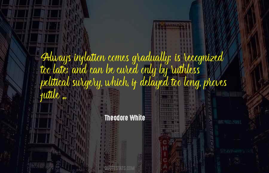 Theodore White Quotes #575562