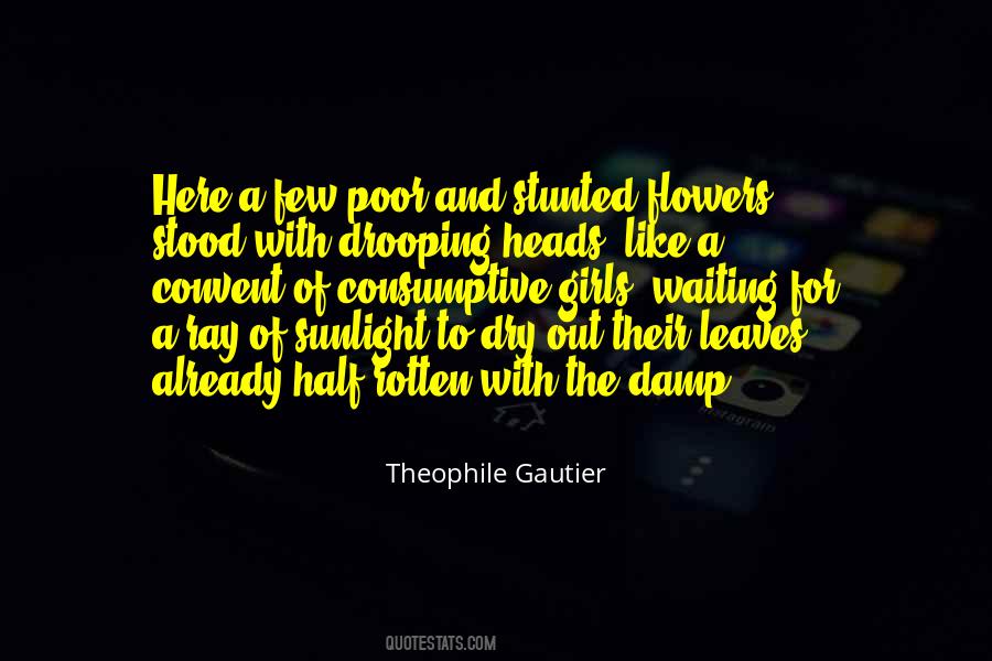 Theophile Gautier Quotes #20272