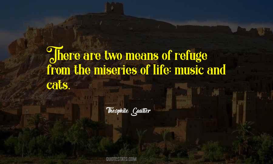 Theophile Gautier Quotes #401844