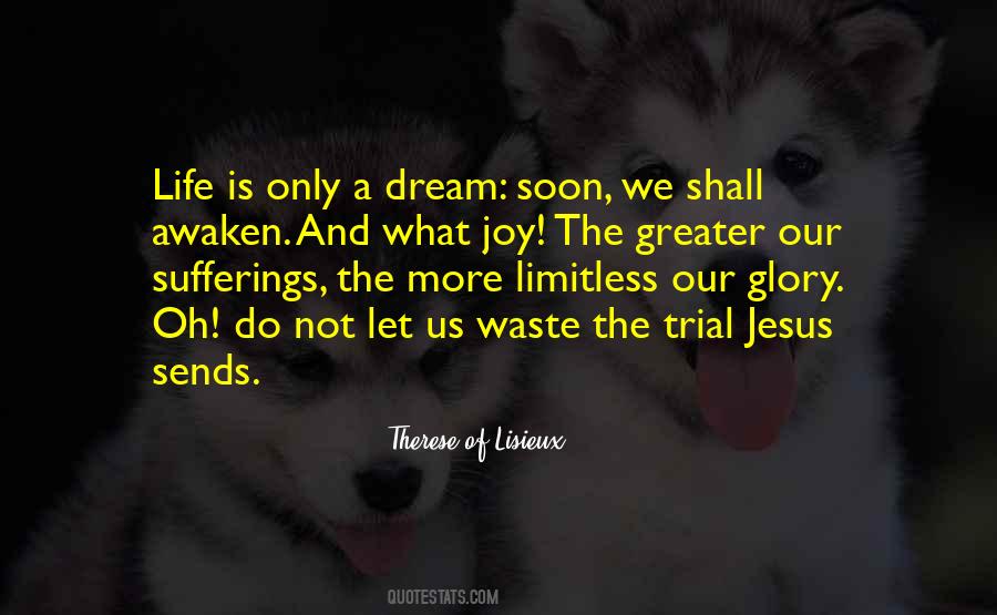 Therese Of Lisieux Quotes #331328