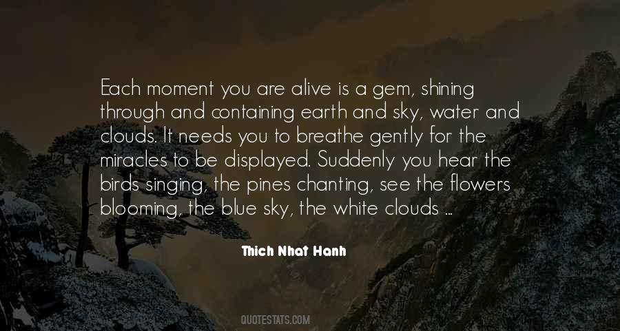Thich Nhat Hanh Quotes #1456187