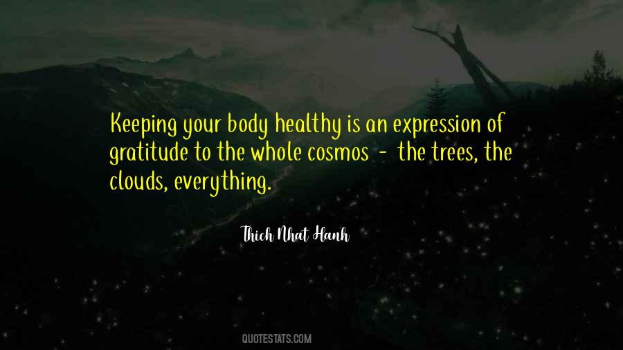 Thich Nhat Hanh Quotes #812480