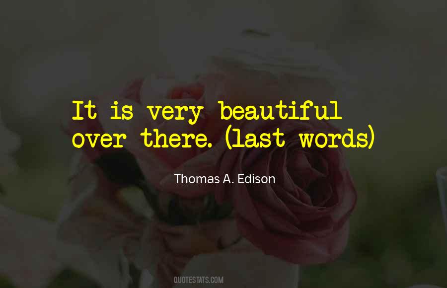 Thomas A. Edison Quotes #111397