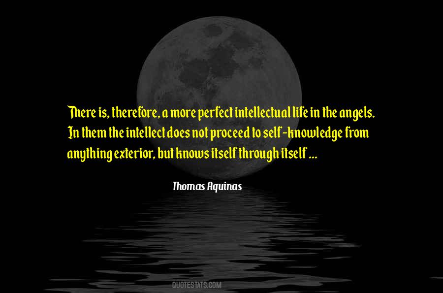 Thomas Aquinas Quotes #1673853