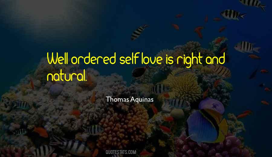 Thomas Aquinas Quotes #286297