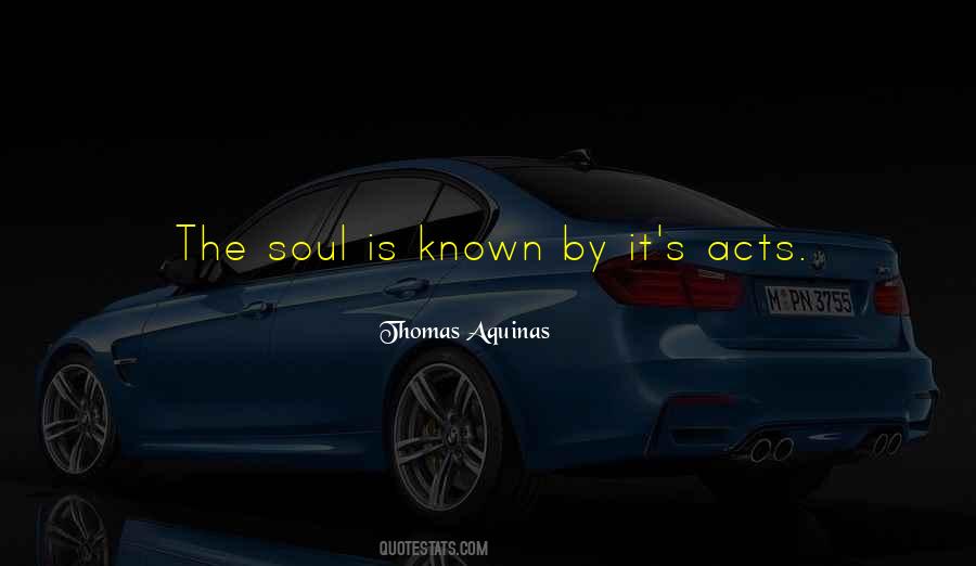 Thomas Aquinas Quotes #489901