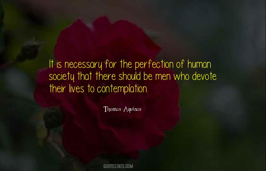 Thomas Aquinas Quotes #91291
