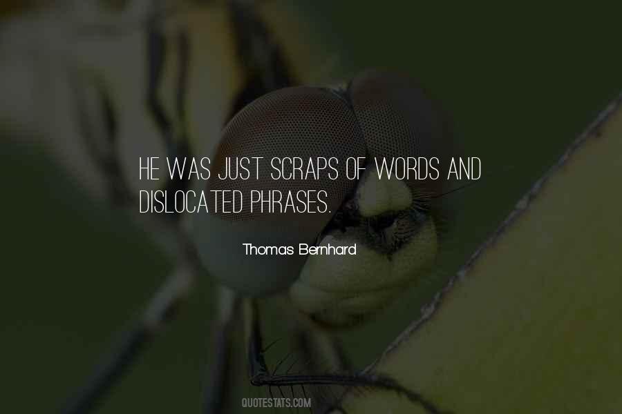 Thomas Bernhard Quotes #794529