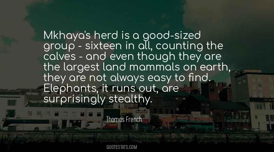 Thomas French Quotes #115554