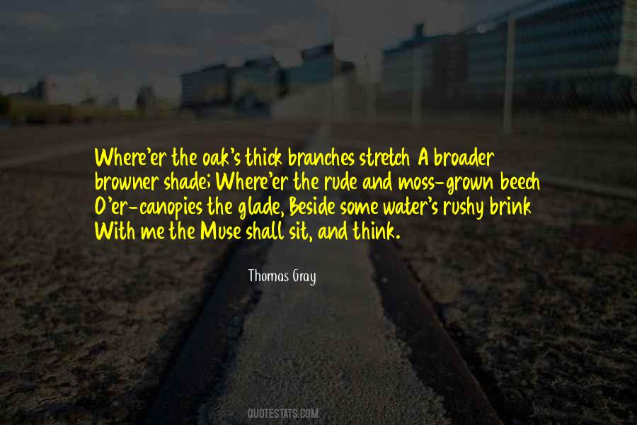 Thomas Gray Quotes #975963