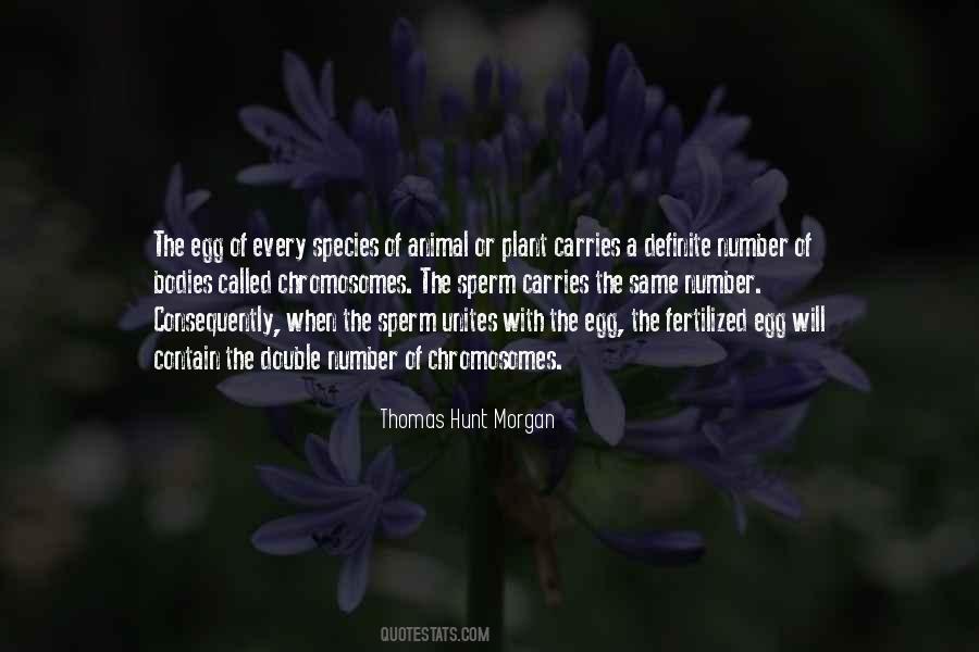 Thomas Hunt Morgan Quotes #1681440