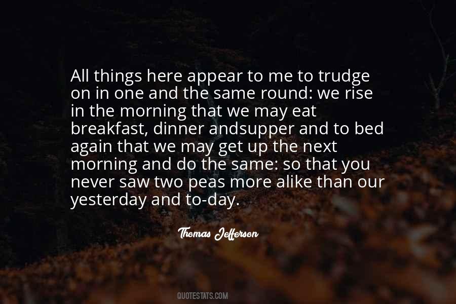 Thomas Jefferson Quotes #317831