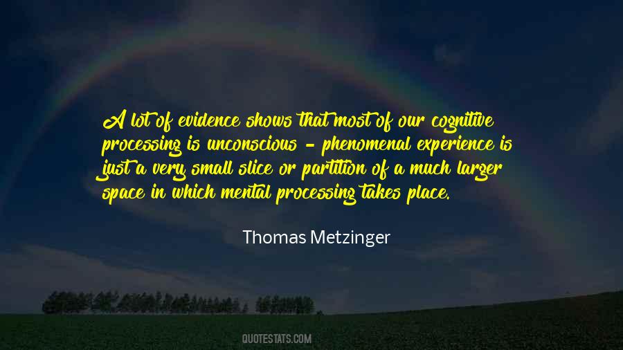 Thomas Metzinger Quotes #200478