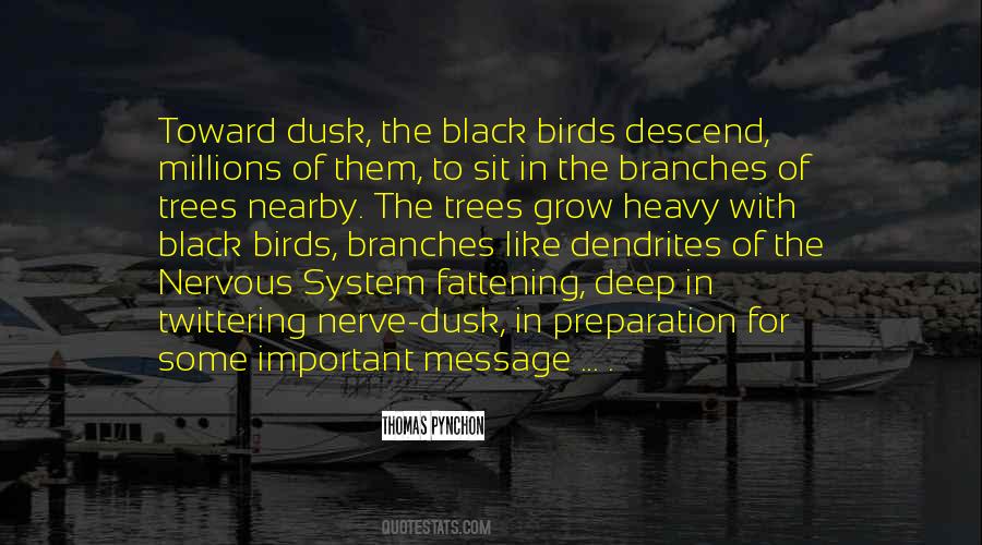 Thomas Pynchon Quotes #13953